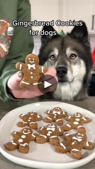 Dog Gingerbread Cookies, Dog Treats Homemade Christmas, Reindeer Gingerbread Cookies, Cookies For Dogs, Gingerbread Dog, Pet Bakery, Dog Cookie Recipes, Doggie Treats, Dog Treats Homemade Recipes