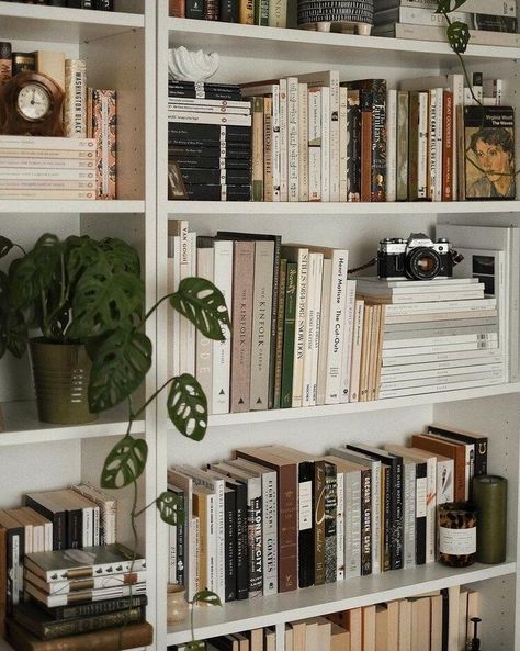 All I Need is a Little Cabin in the Woods (25 Photos) - Suburban Men Bookshelf Inspiration, Little Cabin, Home Library, Room Inspiration Bedroom, Book Shelf, Room Aesthetic, My New Room, Dream Room, New Room