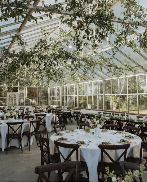 Solarium Wedding, Greenhouse Wedding Ceremony, Greenhouse Reception, Greenhouse Floor, Glasshouse Wedding, Cafe Plants, Maine Elopement, Greenhouse Venue, Career Aesthetic