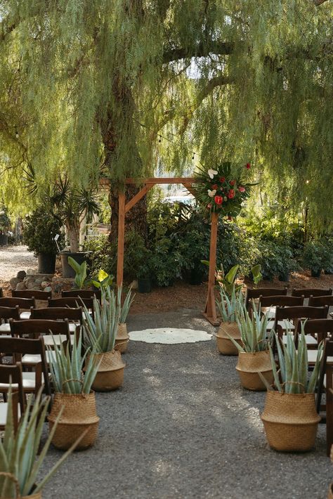 gorgeous and simple tropical wedding ceremony decor, cactus aisle baskets, tropical ceremony arch with pops of bright colors, gorgeous greenhouse california wedding Plant Wedding Arch, Plant Ceremony Wedding, Cactus Floral Arrangements, Succulent Wedding Aisle Decor, Wedding Cactus, Plant Wedding Aisle, Mexican Wedding Arch Ideas, Mexican Wedding Arch, Snake Plant Wedding Decor