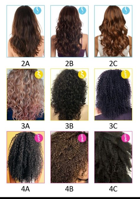 1c Hair, Type 3 Hair, Hair Type Chart, Hair Chart, Summer Hair Care, Dyed Curly Hair, Natural Curly Hair Cuts, Curly Hair Care Routine, Vietnamese Hair