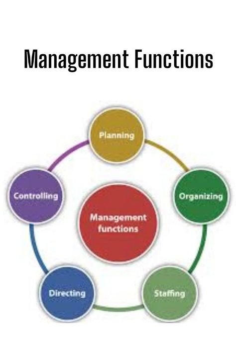 Functions Of Management, Human Capital, Making Decisions, Personalized Learning, Knowledge Management, Management Skills, Leadership Development, Decision Making, Leadership