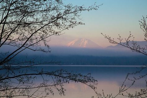 Located close to Seattle and Bellevue, Lake Sammamish has everything from wooded trails and beaches to boat launches and parks. Lake Sammamish Washington, Sammamish Washington, Washington City, Friday Harbor, San Juan Island, Evergreen State, You're Not Alone, Beautiful Park, Scenic Beauty