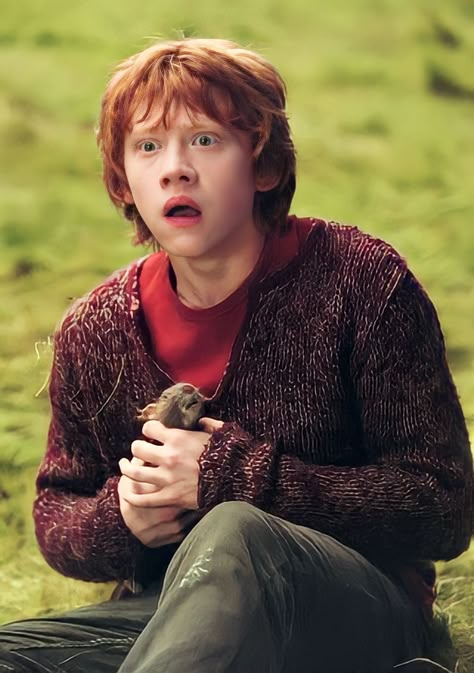 Ron Weasley Cute, Rom Weasley, Cute Ron Weasley, Ron Weasley 3rd Year, Ron Weasley Smiling, Harry Potter Ron Weasley Hermione Granger, Ron Weasley Aesthetic, Rupert Grint Ron Weasley, Weasley Aesthetic