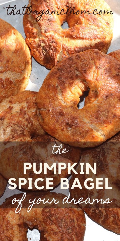 Pumpkin Spice Bagel Recipe, Whipped Cinnamon Honey, Pumpkin Bagels, Cinnamon Honey Butter, Cinnamon Honey, Homemade Pumpkin Spice, Homemade Bagels, Fall Morning, Bagel Recipe