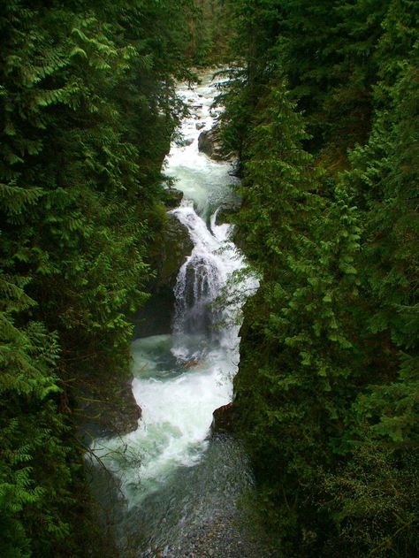 Decor To Adore: Whistler and Lynn Canyon Vancouver Map, Lynn Canyon, Chasing Waterfalls, Victoria Canada, O Canada, Western Canada, Explore Canada, North Vancouver, Suspension Bridge