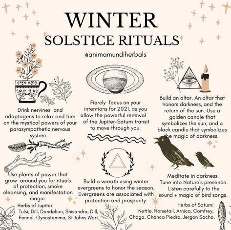 Make an altar, say a prayer, drink herbs ruled by Jupiter Saturn, listen to bird songs @animamundiherbs Winter Solstice Rituals, Winter Solstice Party, Winter Solstice Celebration, Solstice Party, Solstice Celebration, Witch Tarot, Wiccan Magic, Witchcraft Spell Books, Tarot Reader