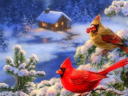 birds in winter | Cardinals in Winter★ - Birds & Animals Background Wallpapers on ... Christmas Cardinals, Winter Bird, Christmas Bird, Cardinal Birds, Diamond Mosaic, Christmas Past, Christmas Scenes, Bird Pictures, Winter Art