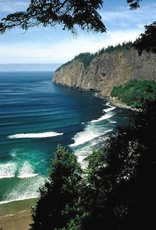 Cape Lookout, outside Tillamook Looks just like from Where The Wild Things Are. Fairy Queen, Ushuaia, Oregon Travel, Babymoon, Road Trip Itinerary, Wild Things, Whale Watching, Oregon Coast, Pretty Places