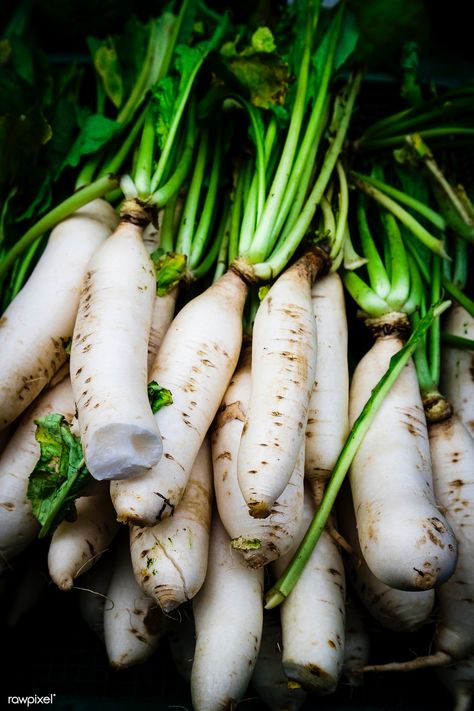 Vegetables Farm, White Turnip, Romanesco Broccoli, White Radish, Carrot Vegetable, Daikon Radish, Bean Pods, Unique Vegetables, Wallpaper Video