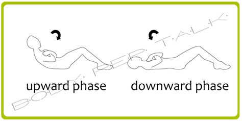 Abdominal exercises should have a short range of motion[3] and be performed slowly for best results. This fact makes the crunch a very effective exercise. When performing crunches, the “abs”[4] contract to pull the ribcage towards the pelvis, peeling off the floor one vertebra at a time.  It is a small but efficient movement. Ribcage Workout, Rib Cage Workout, Small Rib Cage Workout, Small Ribcage Workout, Small Rib Cage, Post Baby Workout, Baby Workout, Abdominal Exercises, Post Baby