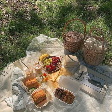 Picnic Aesthetic, Picnic Inspiration, Picnic Date, Picnic Time, Picnic Food, A Picnic, Summer Picnic, The Grass, Pretty Food