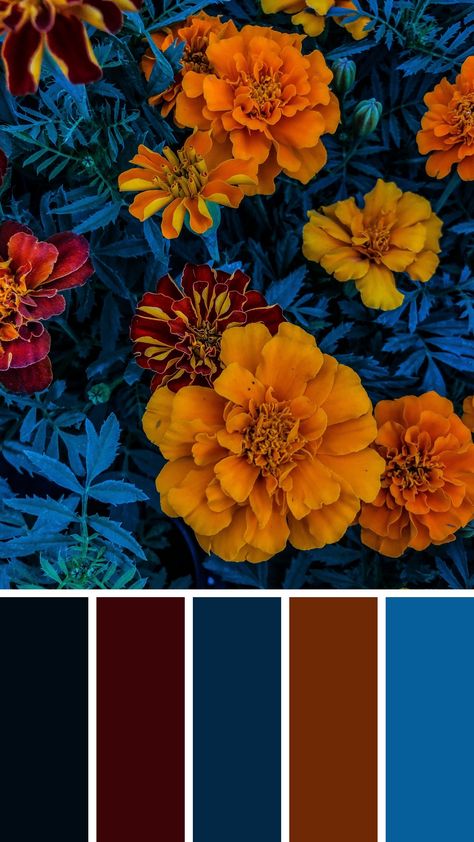 Navy Blue Orange Color Palette, Day Of The Dead Color Palette, Navy Blue And Gold Color Palette, Cobalt Color Palette, Color Palettes With Black, Indigo Color Palette, Mexican Color Palette, Maroon Color Palette, Split Complementary Color Scheme