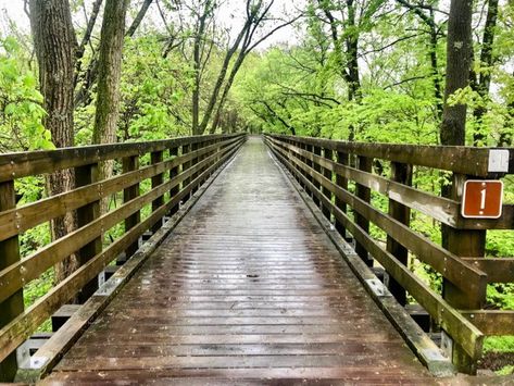 Cool Cities, Virginia Creeper Trail, Grayson Highlands, Road Music, Southwest Virginia, Music Museum, Virginia Creeper, Lookout Tower, Blue Ridge Parkway