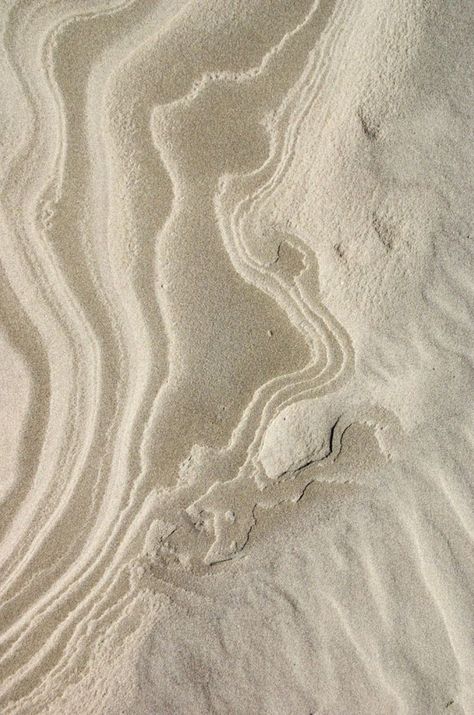 This contains an image of: {{ pinTitle }} Visuell Identitet, Leaf Vector, Sand Textures, Mood Images, Texture Inspiration, Beige Aesthetic, Decor Minimalist, White Aesthetic, The Sand