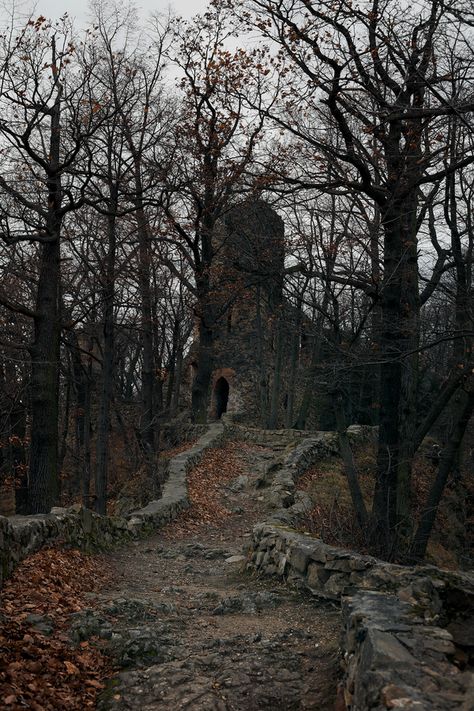 Spooky Places, Castle Ruins, Abandoned Mansions, Fallen Leaves, Haunted Places, Old Stone, Ancient Ruins, Abandoned Buildings, Abandoned Houses