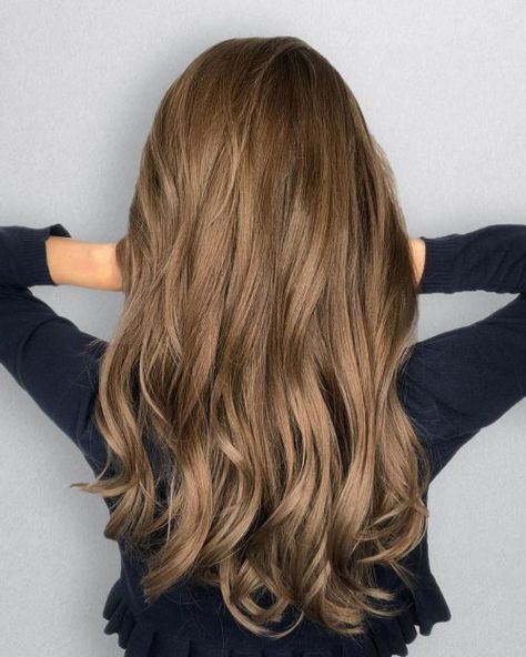 14 Stunning Chestnut Brown Hair Colors for 2020 Light Neutral Brown Hair, Golden Chestnut Brown Hair, Chesnutt Brown, Neutral Golden Brown Hair, Lightest Golden Brown Hair, Frosted Chestnut Hair Color, Chesnutt Hair, Very Light Golden Brown Hair, Chestnut Blonde Hair