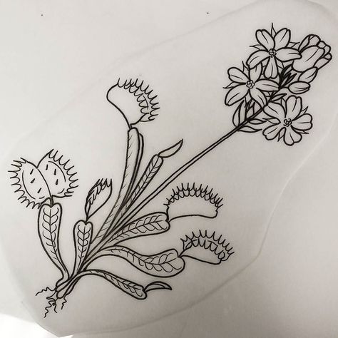 Cool Traditional Tattoos, Fly Trap Tattoo, Venus Fly Trap Tattoo, Trap Tattoo, Venus Flytrap, Kunst Tattoos, Plant Tattoo, Fly Trap, Botanical Tattoo