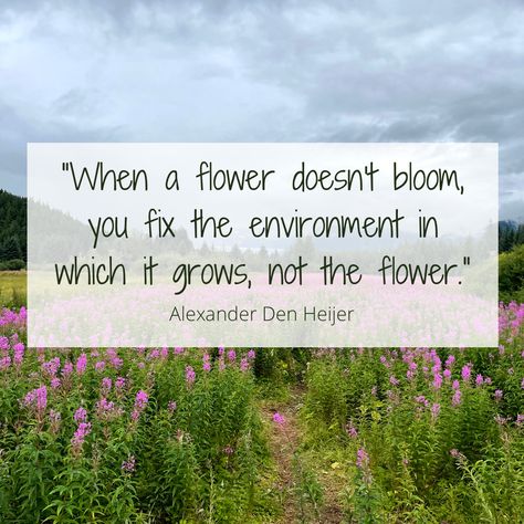 Change The Environment Not The Flower, When A Flower Doesn't Bloom Quote, Sidewalk Quotes, When A Flower Doesn't Bloom, Staff Wellbeing, Bloom Quotes, Wellness Wednesday, Flower Quotes, Creative Teaching