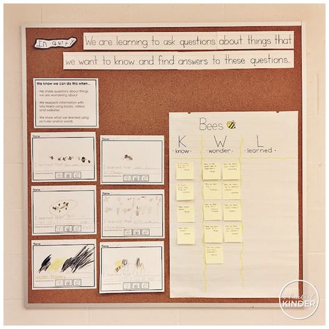 Weekly Round-Up: February 23 Bee Inquiry, Kindergarten Provocations, Inquiry Based Learning Activities, Discovery Table, Kindergarten Inquiry, Inquiry Project, Math Literacy Activities, Kindergarten Assessment, Classroom Wishlist