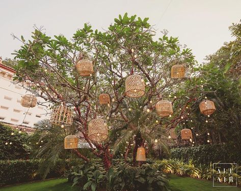 Timeless Wedding Decor, Lamps Hanging, Forest Theme Wedding, Mandap Decor, Wedding Decor Ideas, Tent Decorations, Eco Wedding, Budget Friendly Wedding, Sustainable Wedding