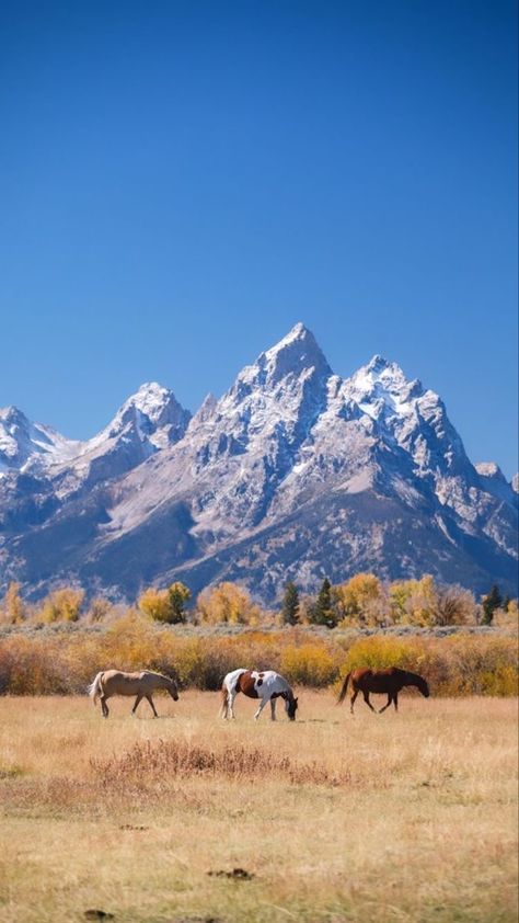 Western Mountain Aesthetic, Rancher Aesthetic, Southwest Scenery, Rhett Abbott, Ranch Wallpaper, Wyoming Aesthetic, Fall Lockscreen Aesthetic, Western Icons, Indigo Ridge