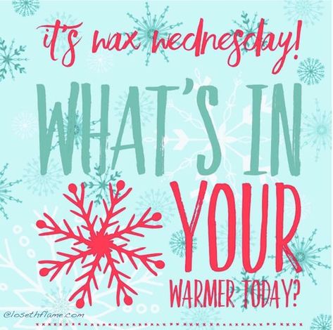 Scentsy Christmas Game, Wax Wednesday, Scentsy Banner, Cinnamon Bear, Scentsy Pictures, Scentsy Games, Interactive Facebook Posts, Cinnamon Bears, Cookie Crunch