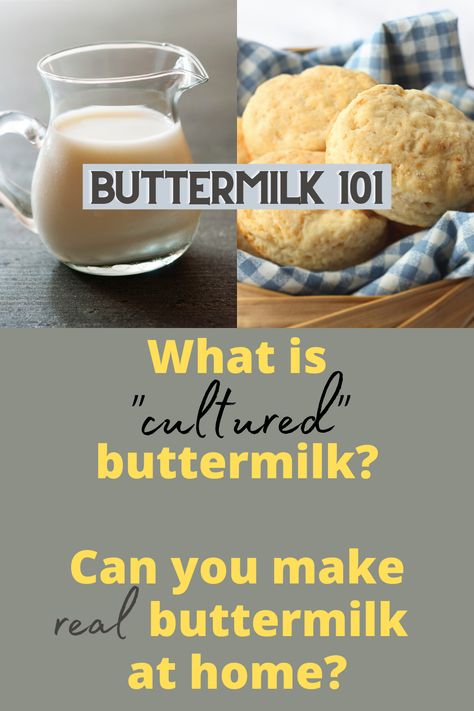 Learn the difference between buttermilk and cultured buttermilk, the history of buttermilk, uses, buttermilk recipes, substitutes and more. Learning to make homemade buttermilk from scratch is a homesteading skill that will help you on your goal of making all of your dairy products at home. Buttermilk From Scratch, Cultured Buttermilk Recipes, Making Buttermilk From Milk, How To Make Buttermilk From Milk, Buttermilk Uses, Dry Buttermilk, Buttermilk Substitute, Cultured Buttermilk, Homemade Sour Cream