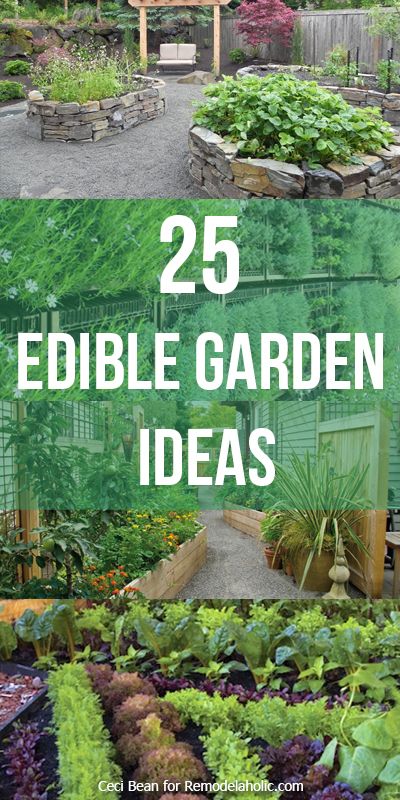 25 Edible Garden Ideas -- grow herbs and vegetables no matter the size of your yard @Remodelaholic #gardening #garden #landscaping Edible Garden Ideas, Kebun Herbal, Grow Herbs, Taman Diy, Edible Landscaping, Veg Garden, The Secret Garden, Garden Bed, Growing Herbs