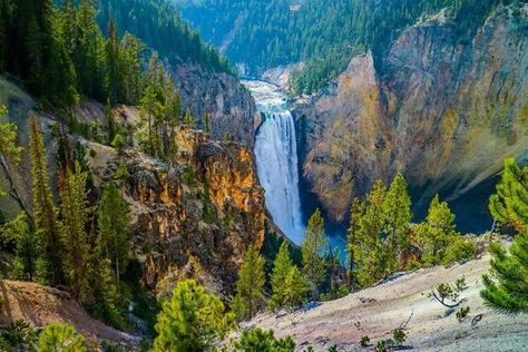 Yellowstone National Park Vacation, Yellowstone Vacation, Stone Park, Best National Parks, Visit Yellowstone, Yellowstone River, National Park Vacation, The Grand Canyon, Outdoor Lover