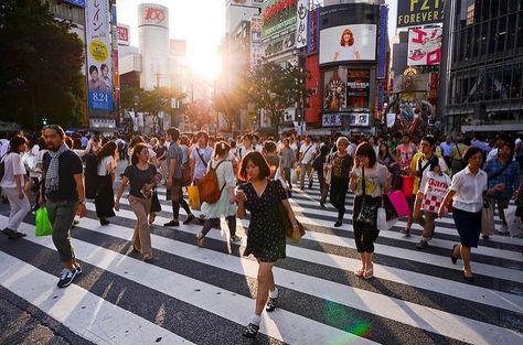 Shibuya Crossing, Secret Photo, Shibuya Tokyo, Uk Photos, Yangon, Busy City, Instagram Worthy, Travel Alone, Yokohama