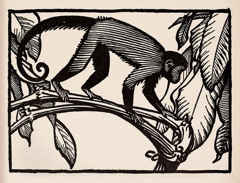 Monkey  - Keith Henderson Illustration for The Purple Land c.1930 | by Thomas Shahan 3 Monkey Drawing, Monkey Illustration, Monkey Logo, Monkey Tattoos, Lino Art, Monkey Design, Monkey Art, Animal Magic, Desenho Tattoo