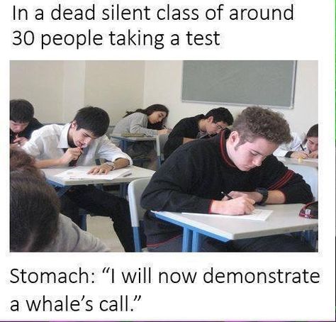 Someone’s stomach is always playing you the song of their people: | 22 Pictures Everyone Who Has Taken A Test Can Relate To Classroom Memes, College Memes, School Memes, Have A Laugh, My Chemical, School Humor, In The Classroom, Many People, The Classroom