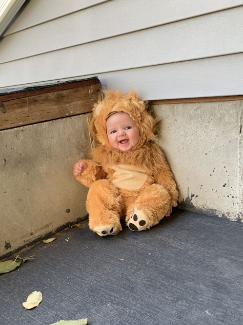 Newborn Lion Costume, Baby Tiger Costume, Baby Lion Costume, Lion Halloween Costume, Diy Baby Costumes, Lion Halloween, Lion Dress, Old Halloween Costumes