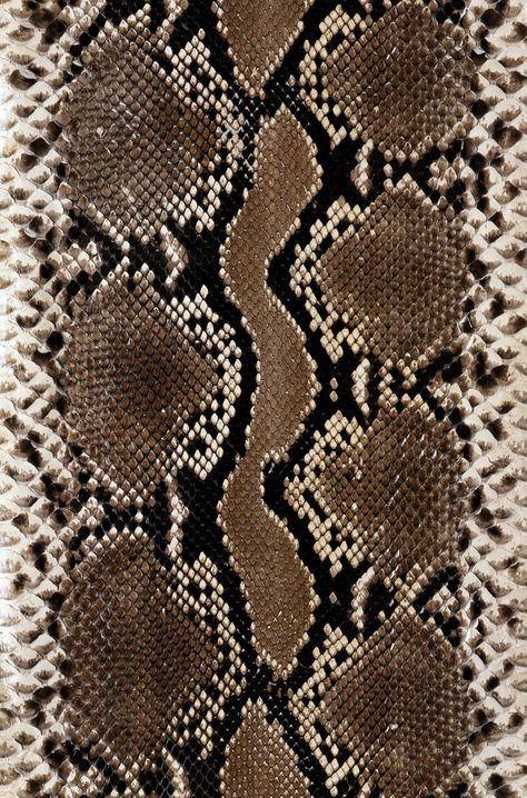 (1690×2560) Snake Fabric, Animal Print Wallpaper, Snake Skin Pattern, Shotting Photo, Skin Pattern, Animal Skin, Print Wallpaper, Patterns In Nature, Color Textures