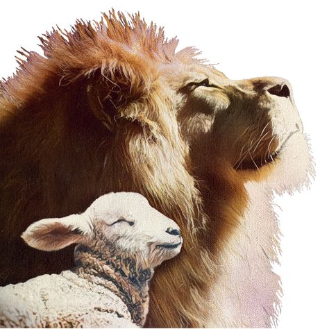 Lion And The Lamb Christianity - Free image on Pixabay Lamb And Lion Drawing, Lion And Lamb Aesthetic, Lion And Lamb Tattoo, Lion And The Lamb Art, The Lamb Of God Art, Lion And Lamb Illustration, Lion And Lamb Bible Verse, The Lion And The Lamb, Church Background