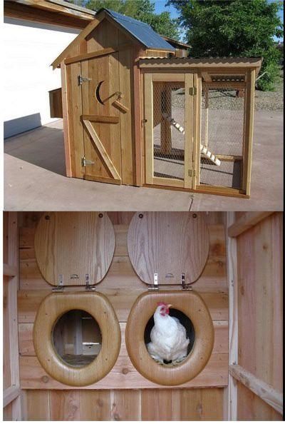 Nest Boxes, Chicken Pen, Chicken Tractors, Diy Chicken Coop Plans, Coop Design, Chicken Coop Designs, Coop Plans, Building A Chicken Coop, Keeping Chickens