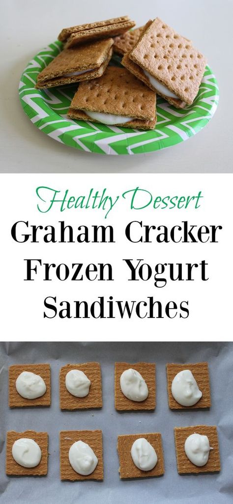 Healthy Graham Crackers, Dessert Graham, Graham Cracker Snacks, Graham Dessert, Graham Cracker Dessert, Cracker Dessert, Graham Cracker Recipes, 30 Something, Yogurt Bites