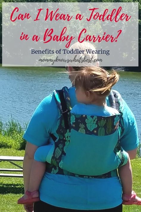 Can I Wear a Toddler in a Baby Carrier? Yes! There are so many benefits to wearing a toddler in a baby carrier. Plus: Best Carriers for Toddlers Parenting Hacks Toddlers, Baby Wearing Wrap, Mom Life Funny, Toddler Carrier, Parenting Win, Toddler Schedule, Family Tips, Best Baby Carrier, Parenting Girls