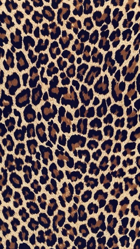 Lepord Print Backgrounds, Leopard Background Wallpapers, Wallpaper Backgrounds Leopard, Black Leopard Wallpaper Iphone, Black Lepord Wallpapers, Leperod Print Wallpaper, Pretty Phone Backgrounds, Leopard Print Background, Cheetah Wallpaper