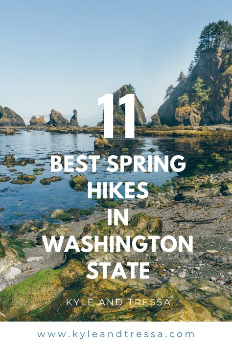 Best Spring Hikes in Washington State By Wandering Washingtonian Centralia Washington, Mount Vernon Washington, Washington State Hikes, Washington Hikes, Spring Hiking, Falls Creek, Western Washington, Scenic Road Trip, Waterfall Hikes