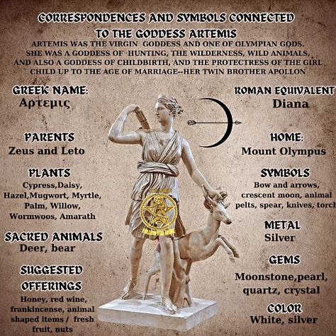 Honoring Aphrodite, Artemis Offerings, Artemis Altar, Goddess Hekate, Digital Grimoire, Roman Myth, Goddess Magick, Goddess Artemis, Sims Characters