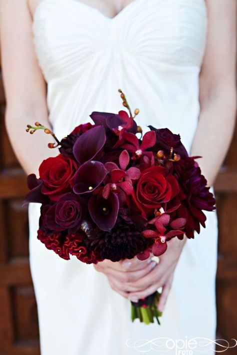 Deep red Red Purple Wedding, Rustic Mountain Wedding, Purple Wedding Bouquets, Red Bouquet Wedding, Red Wedding Flowers, Maroon Wedding, Red And Purple, Calla Lilies, Burgundy Wedding