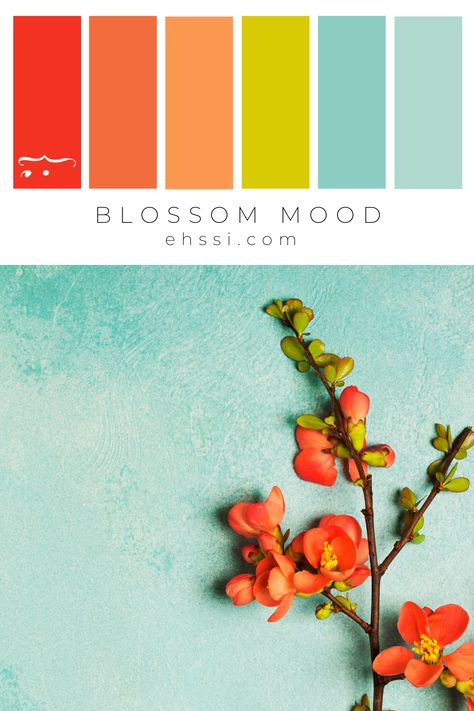 La palette colori è un elemento fondamentale dell'identità grafica. Questa palette colori abbina l'arancione caldo e solare, con i toni freschi dell'azzurro Tiffany e del verde. Il colore ispira e comunica emozioni. Tiffany Color Palette, Sea House, Art Apps, Social Media Design Graphics, Website Design Inspiration, Beach Cottages, Instagram Inspiration, Colour Palette, Pharmacy