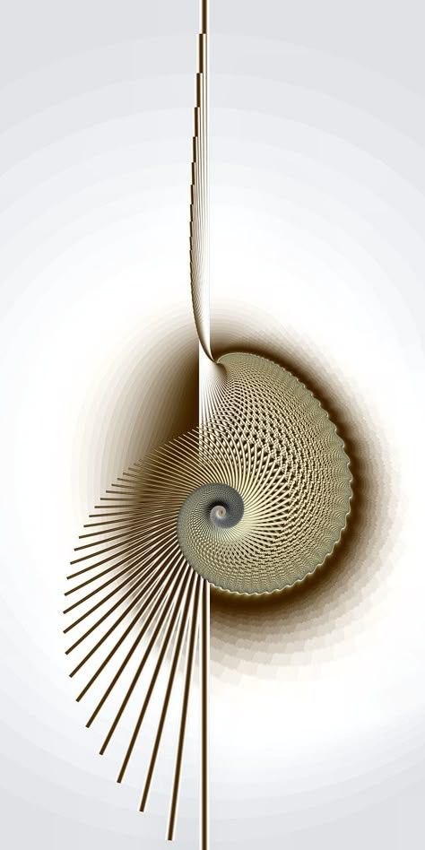 Asymmetrical Balance, Fibonacci Spiral, Sacred Geometry Art, Soyut Sanat Tabloları, Fractal Design, Math Art, Geometry Art, Golden Ratio, Patterns In Nature