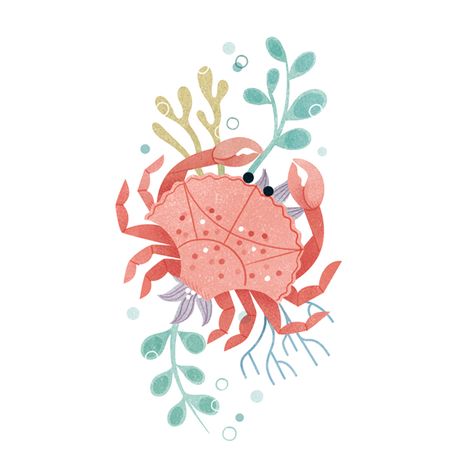 Crabby Illustration, Crabby Drawing, Crab Illustration, Illustration Editorial, Design Editorial, Zodiac Art, Design Packaging, Editorial Illustration, Tempera