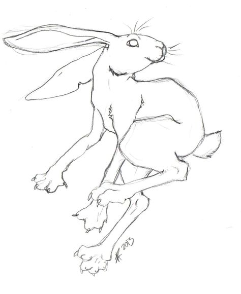 Bounce Drawing Inktober, Bunny Curled Up, Bounce Sketch, Bounce Inktober, Bounce Drawing, Open Mouth Drawing, Bunny Sketch, Animal Oc, Rabbit Pose