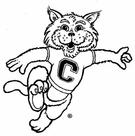 Wildcat Drawing, Gato Bob, Wildcat Mascot, Background 2023, Chico State, Wildcats Logo, Clip Art Library, Art Library, School Mascot