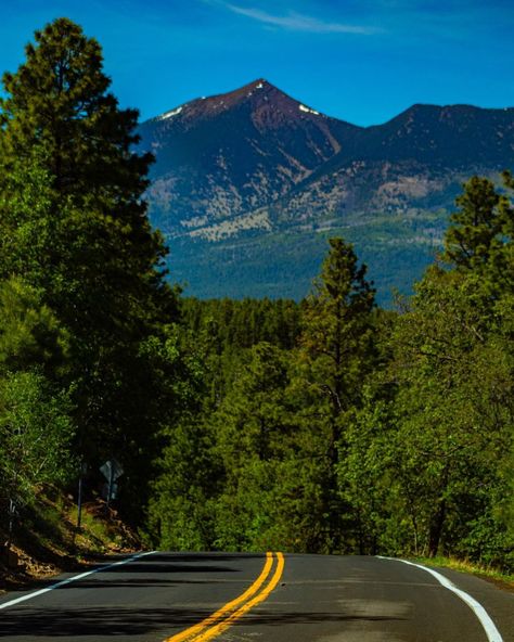 Eulisess coronado’s Instagram post: “Flagstaff #arizona #flagstaff” Arizona Mountains, Flagstaff Arizona, Flagstaff Az, Lovely Places, California Dreamin', Flagstaff, Fig Tree, Fig, Arizona