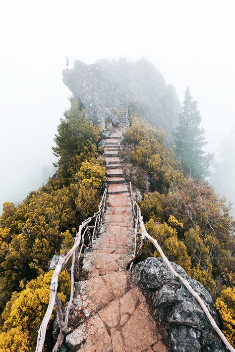 Madeira by Lukas Furlan #photography #nature Portugal Vacation, Voyage Europe, Freelance Photographer, Portugal Travel, Vienna Austria, Tomb Raider, Uncharted, A Student, Travel Goals